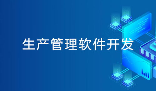 成都軟件系統開發 生產管理系統定制開發